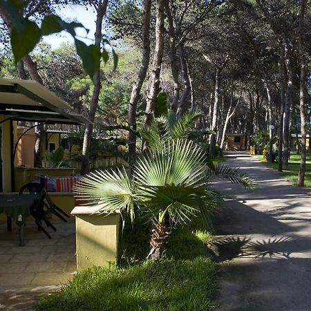 ホテルCamping La Vecchia Torre ガリポリ エクステリア 写真