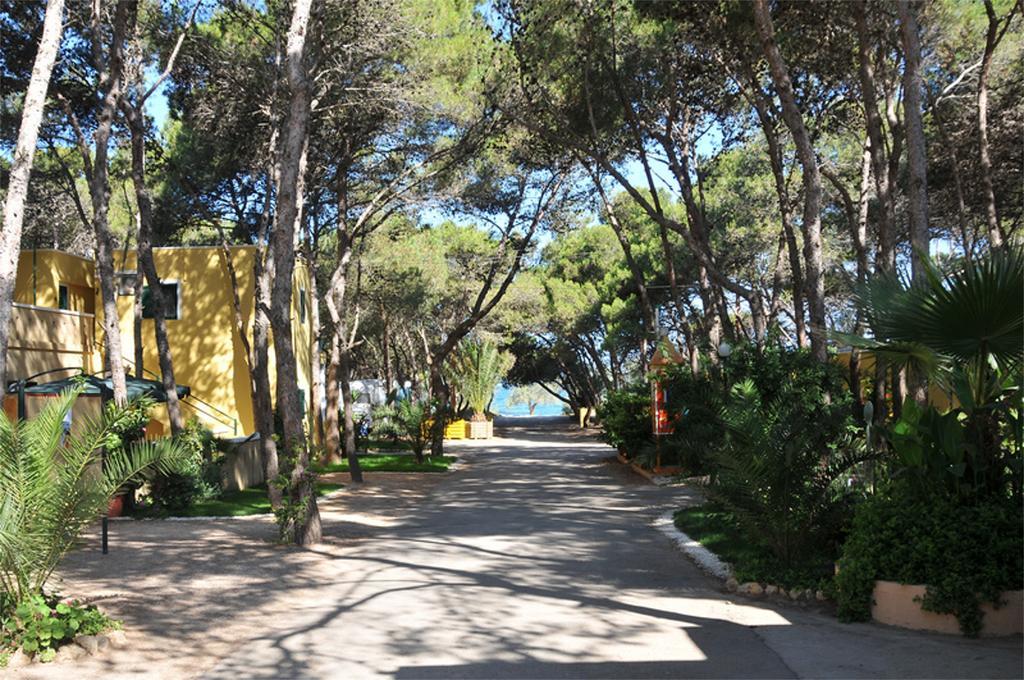 ホテルCamping La Vecchia Torre ガリポリ エクステリア 写真